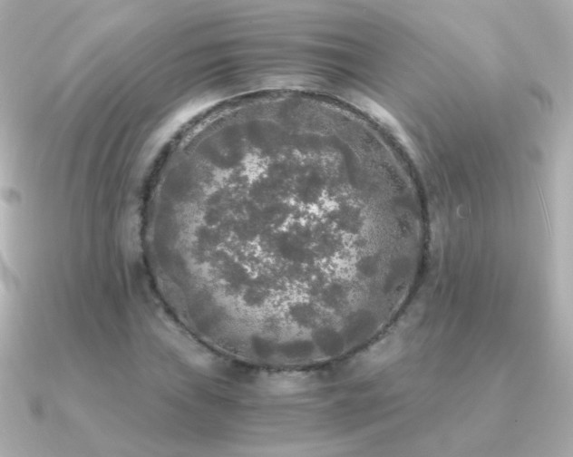 X0000091201019200708091303