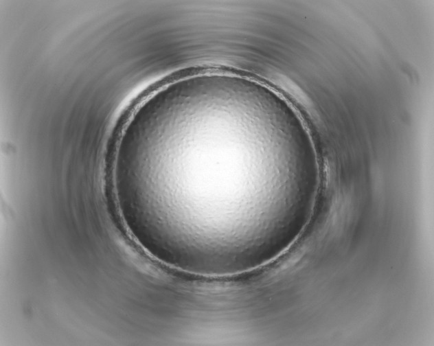 X0000091201020200708091303