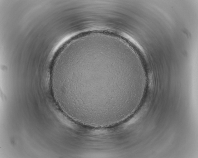 X0000091201021200708091303