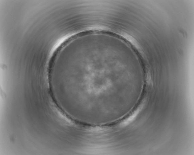 X0000091201022200708091303