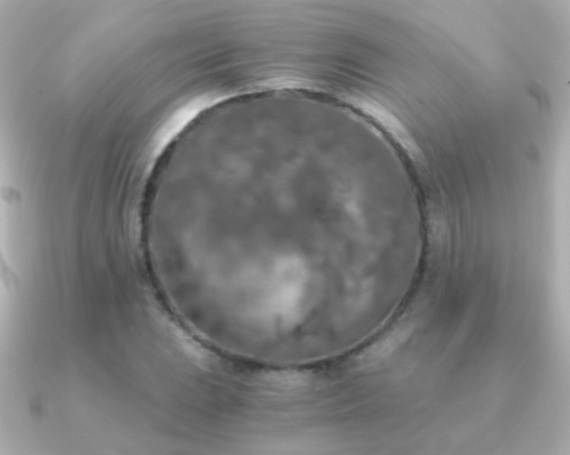 X0000091201023200708091303