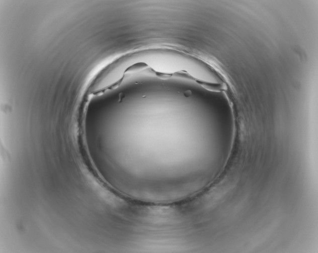 X0000091201024200708091303