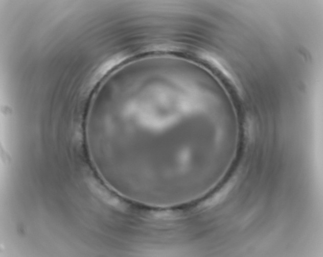 X0000091201025200708091303