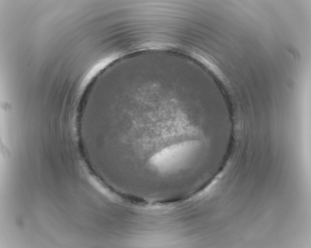 X0000091201026200708091303