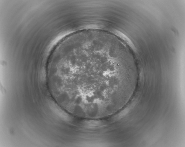X0000091201027200708091303