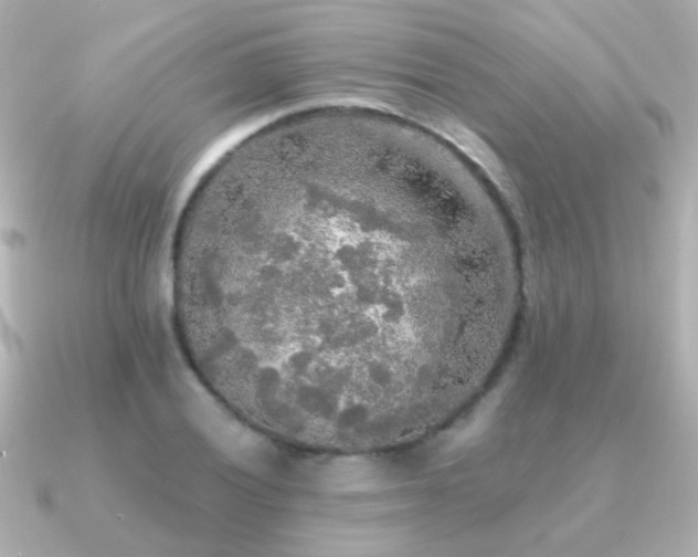 X0000091201028200708091303