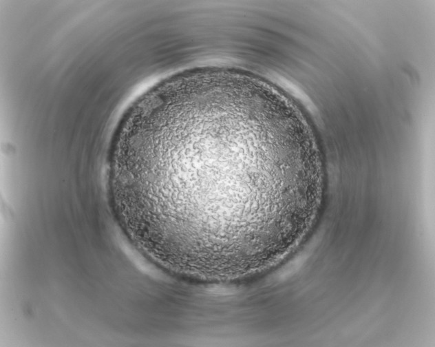 X0000091201029200708091303