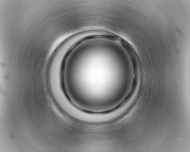 X0000091201030200708091303