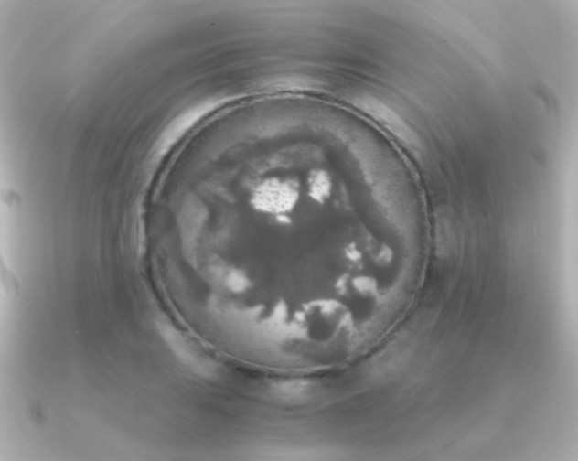X0000091201031200708091303