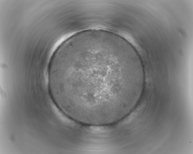 X0000091201032200708091303