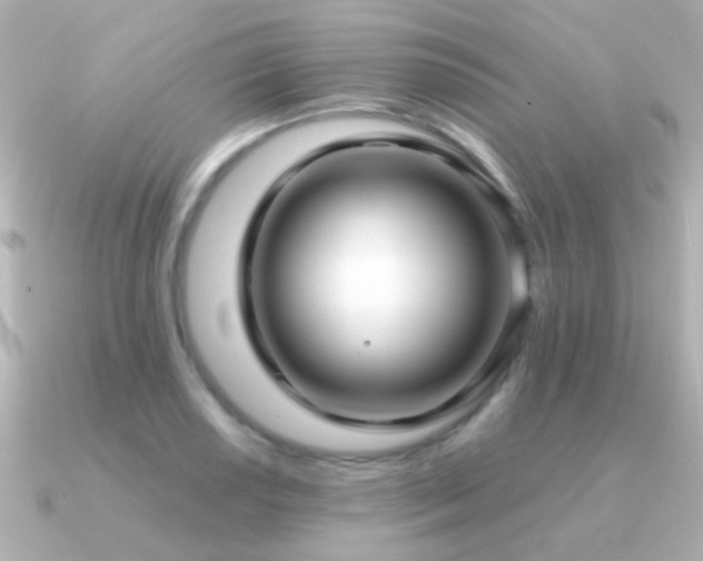 X0000091201034200708091303