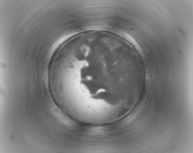 X0000091201035200708091303