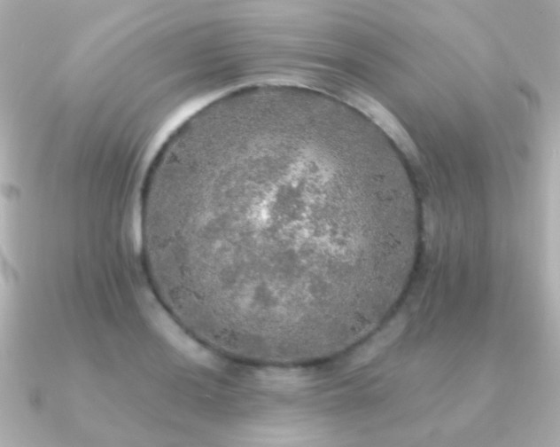 X0000091201036200708091303