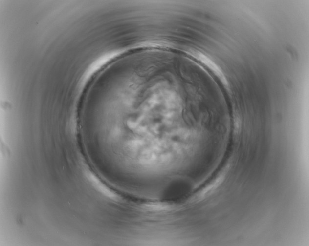X0000091201037200708091303