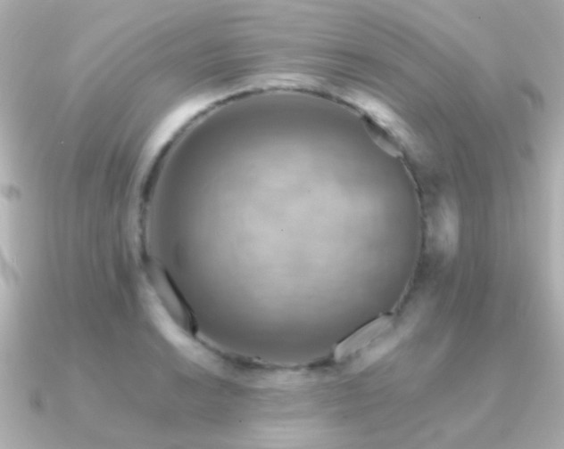 X0000091201038200708091303