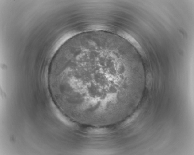 X0000091201039200708091303