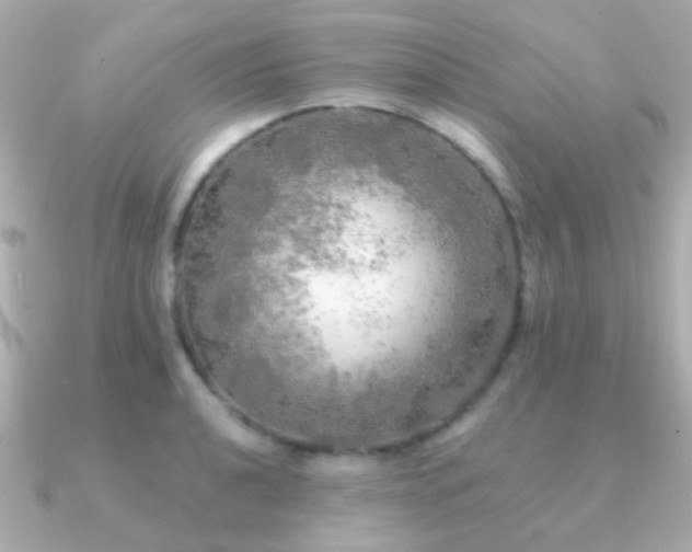 X0000091201040200708091303