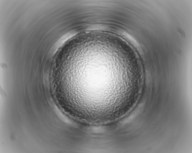X0000091201041200708091303