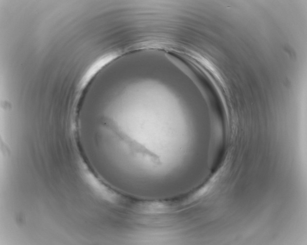 X0000091201042200708091303