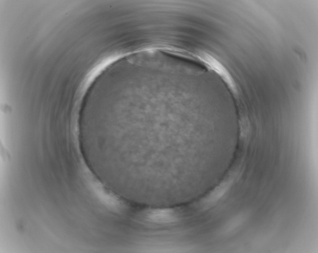X0000091201043200708091303