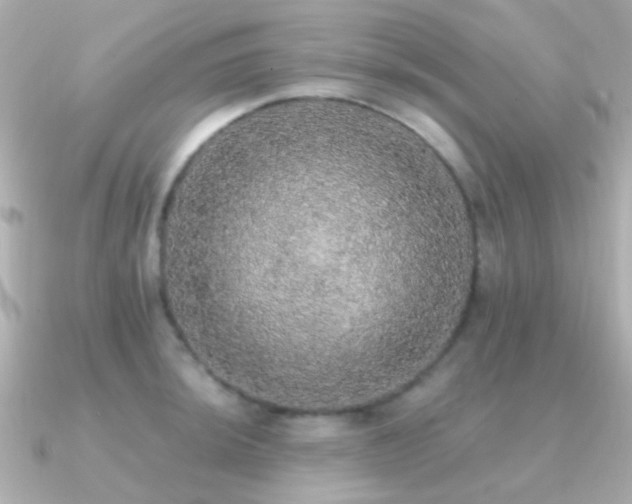 X0000091201044200708091303
