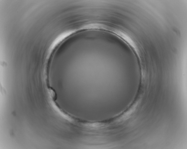 X0000091201045200708091303