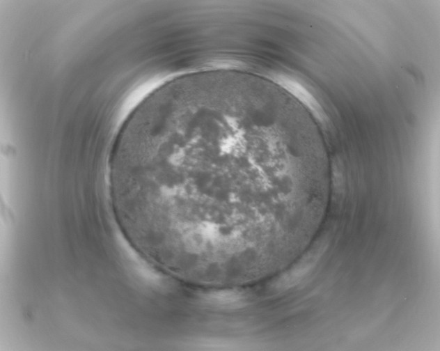 X0000091201047200708091303