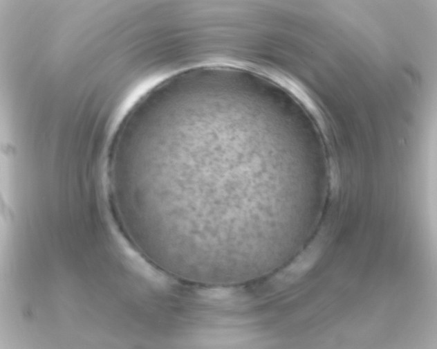 X0000091201048200708091303