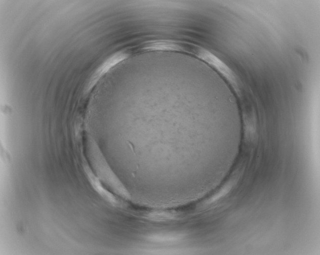 X0000091201049200708091303
