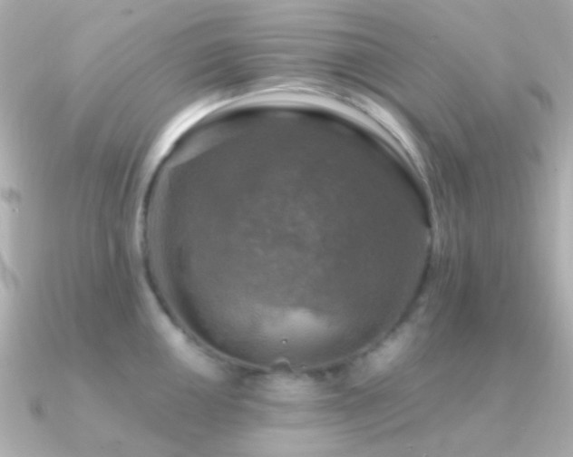 X0000091201050200708091303