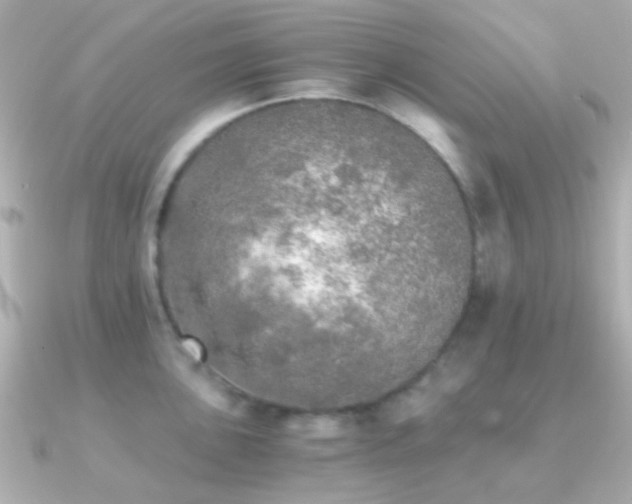 X0000091201051200708091303