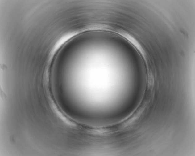 X0000091201053200708091303