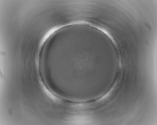 X0000091201054200708091303