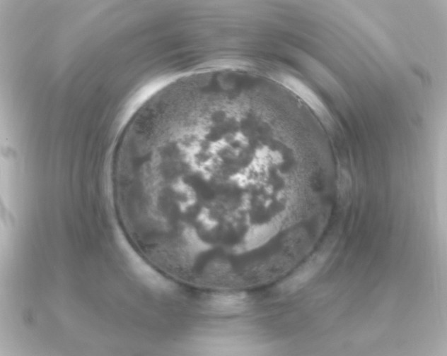 X0000091201055200708091303