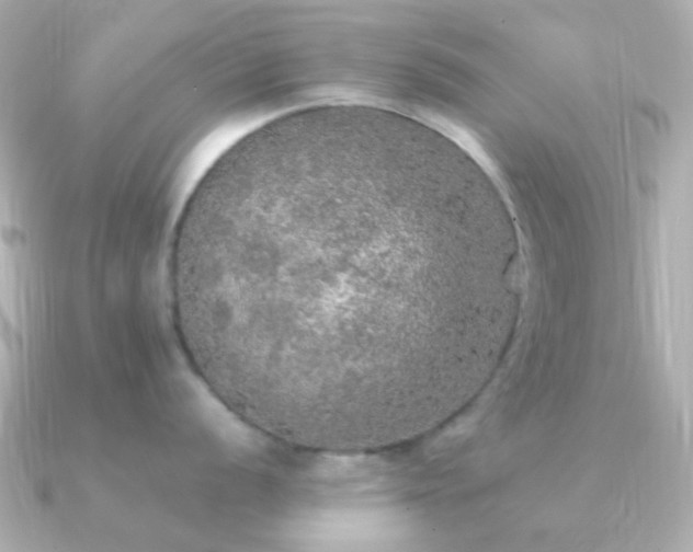 X0000091201056200708091304