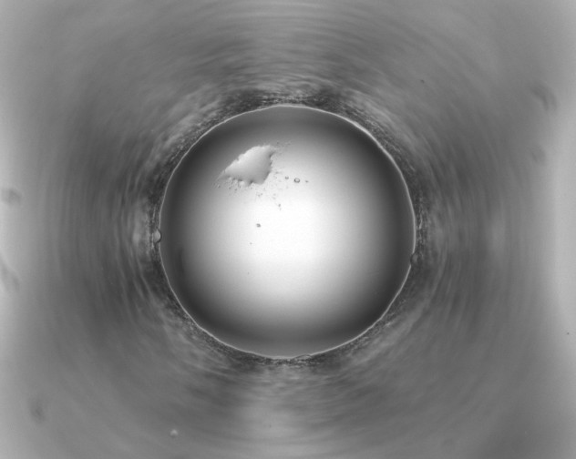 X0000091201058200708091303