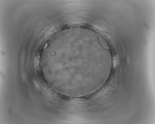 X0000091201059200708091303