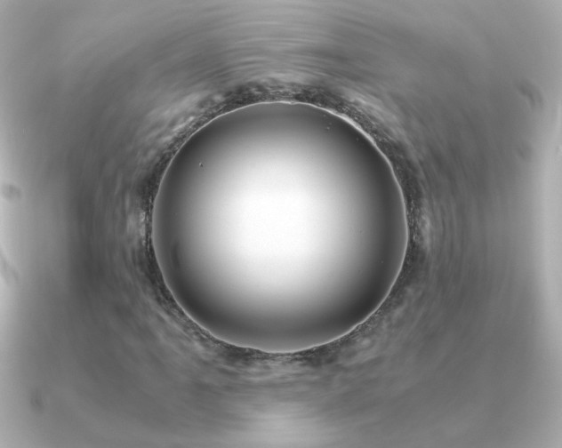X0000091201061200708091303