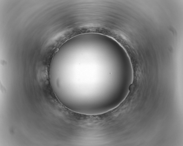 X0000091201062200708091303