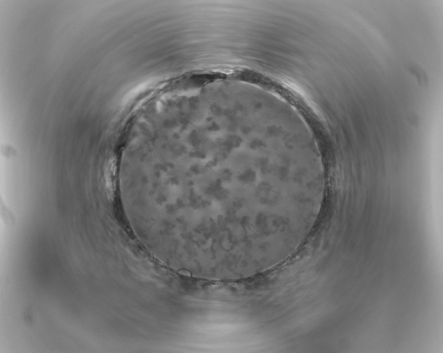X0000091201063200708091303