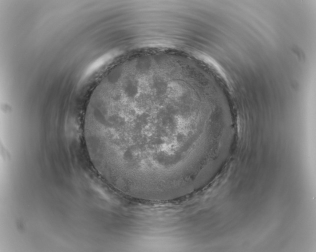 X0000091201064200708091303