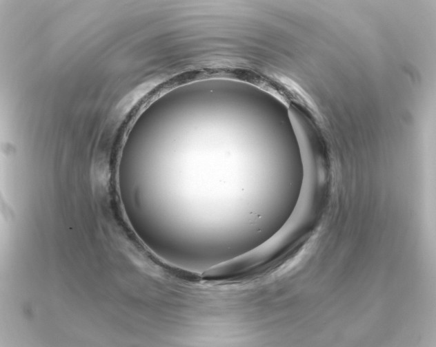 X0000091201065200708091303