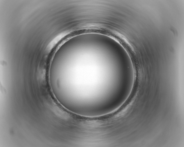 X0000091201066200708091303