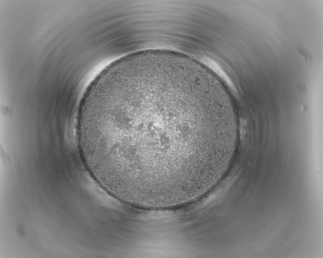 X0000091201068200708091303