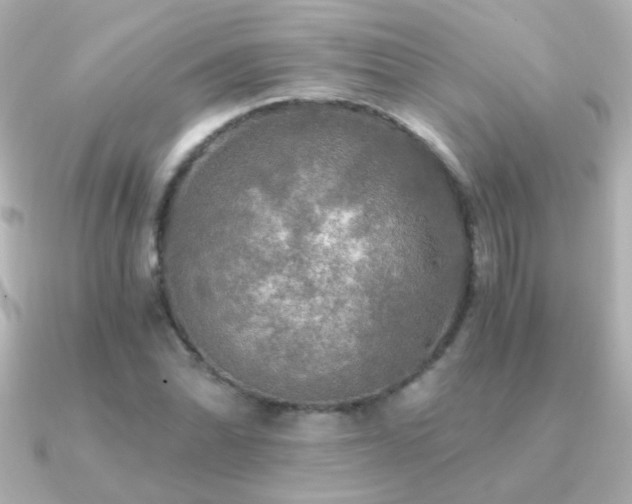X0000091201070200708091303