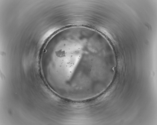 X0000091201071200708091303