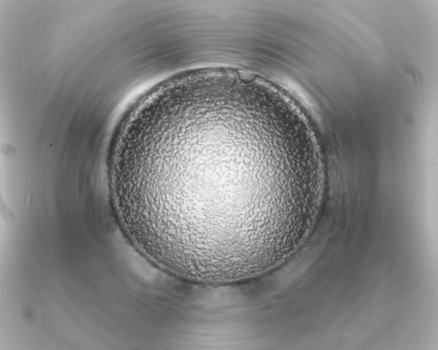 X0000091201072200708091303