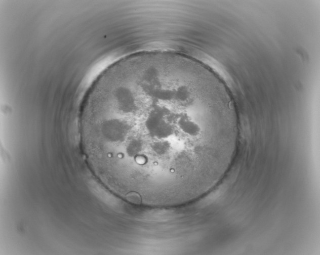 X0000091201075200708091303