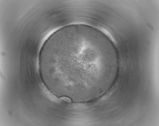 X0000091201076200708091303
