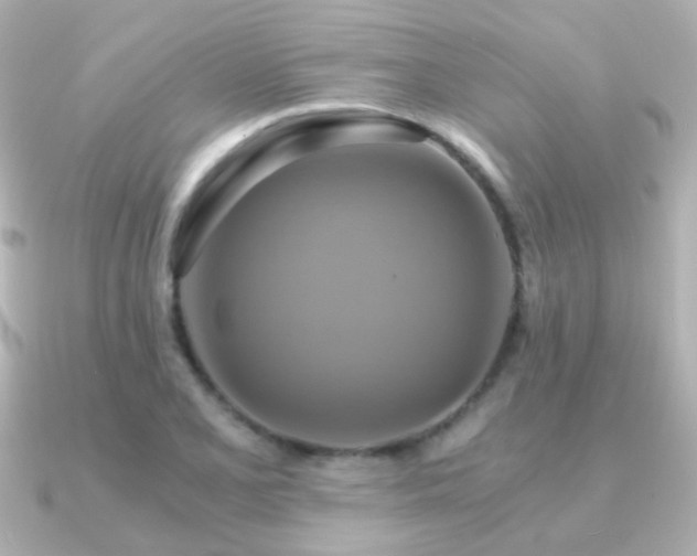 X0000091201077200708091303